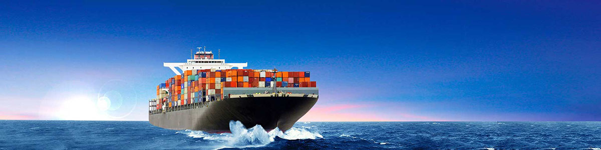 6184d52c85a48.jpg 5f5def20290f6.jpg